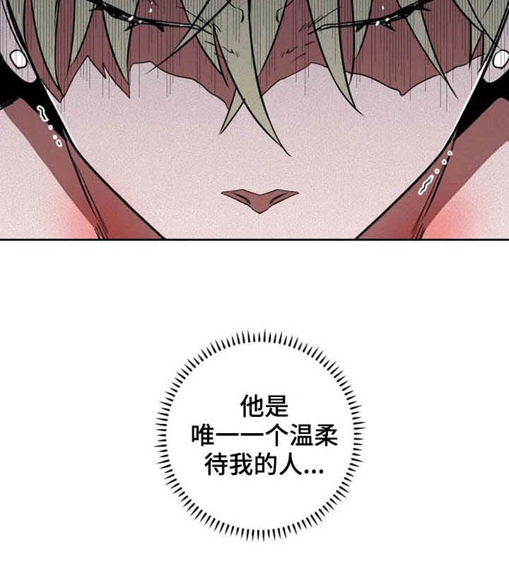 第21章：温柔以待