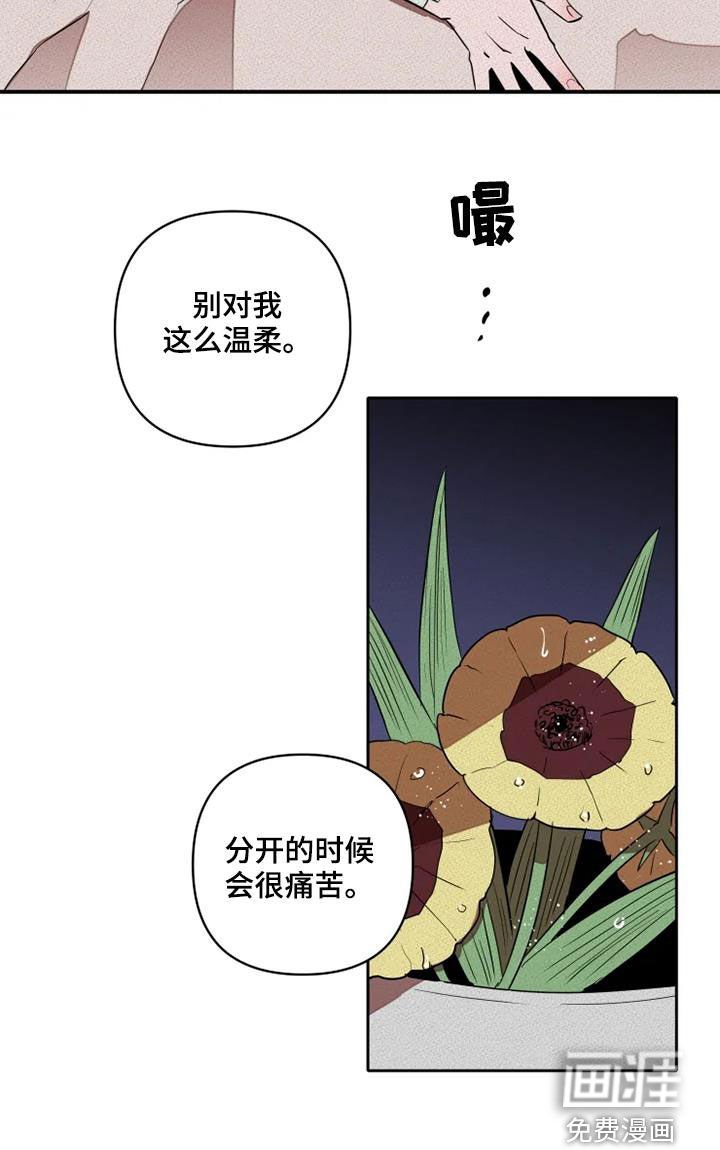 第29章：拯救自己