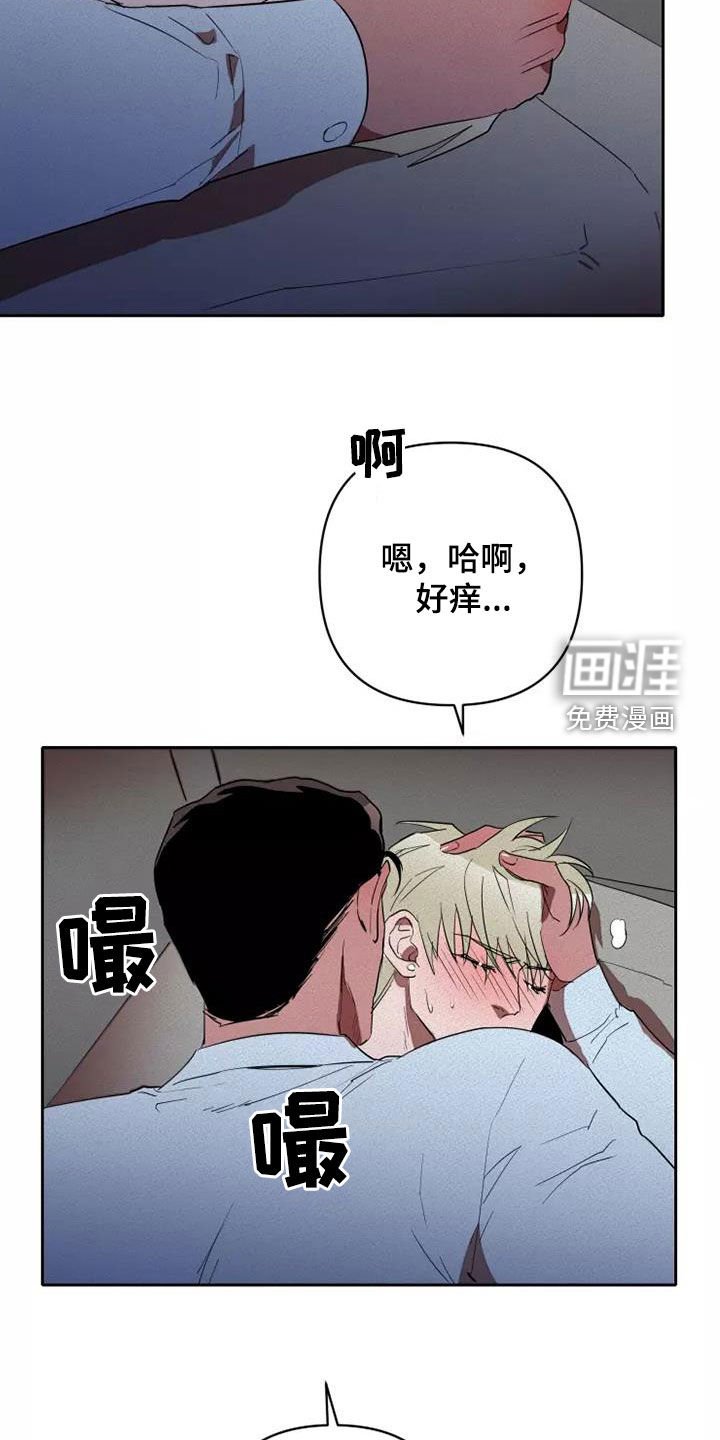 第36章：越来越喜欢