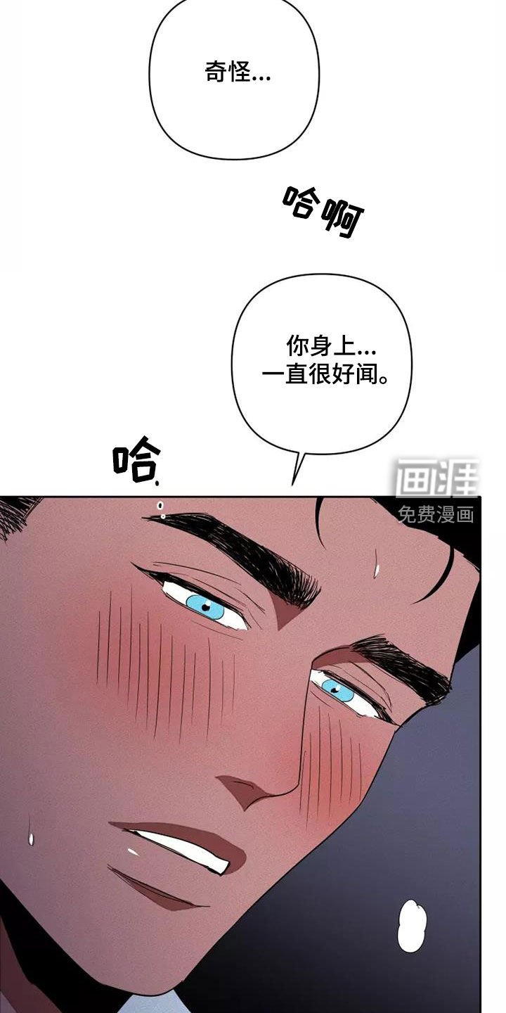 第36章：越来越喜欢
