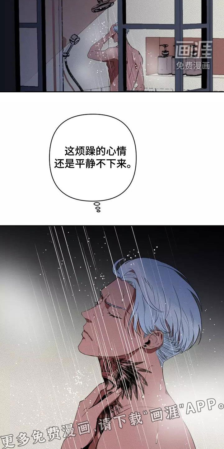 第37章：分成两份