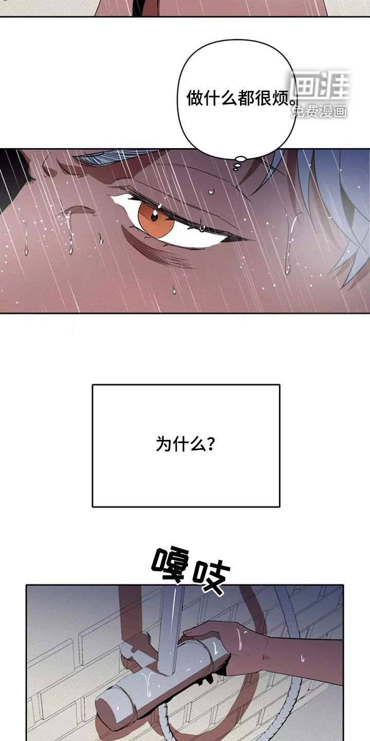 第37章：分成两份