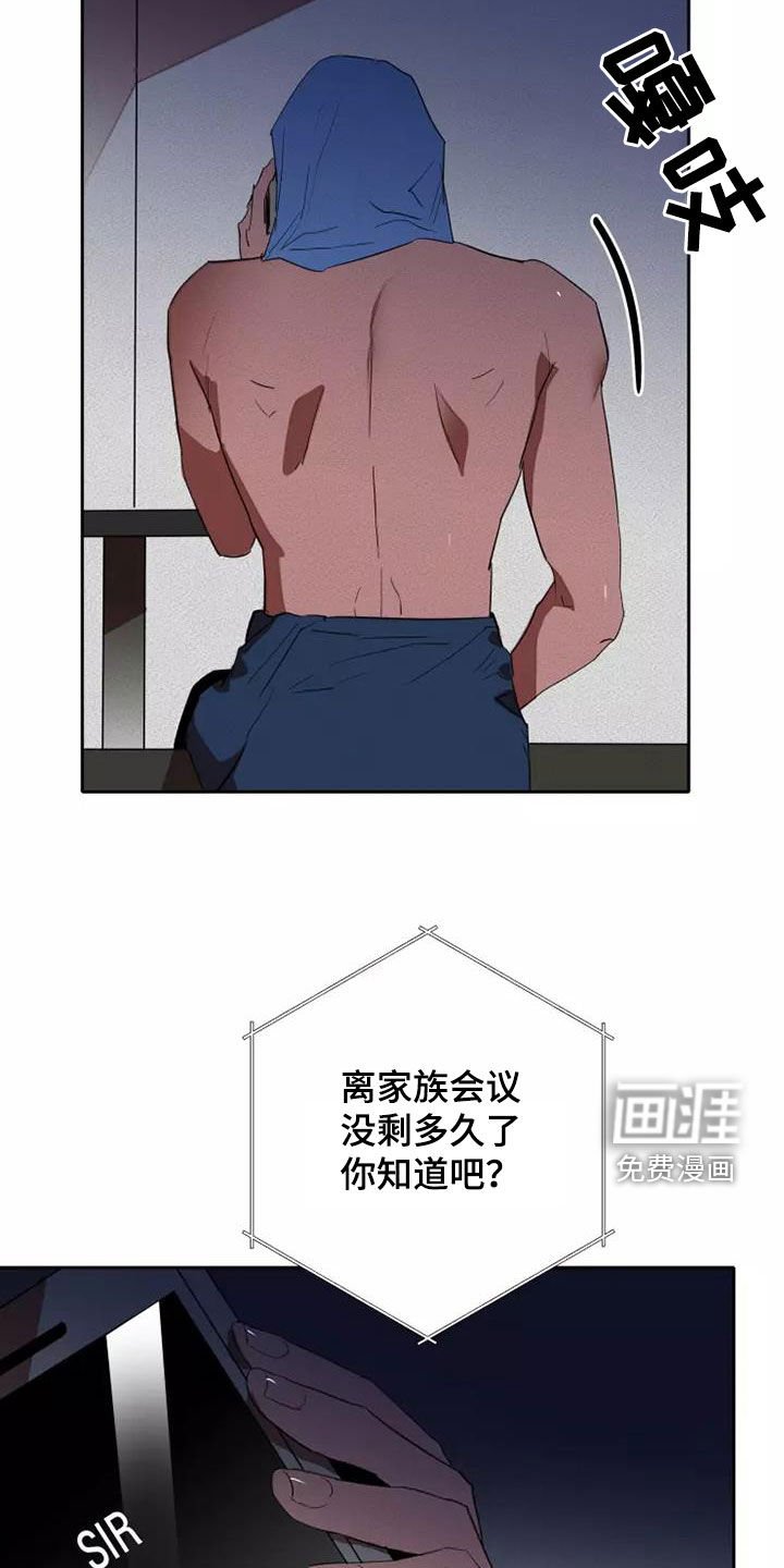 第37章：分成两份
