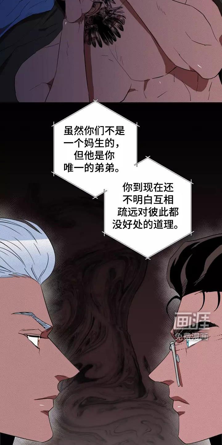 第37章：分成两份