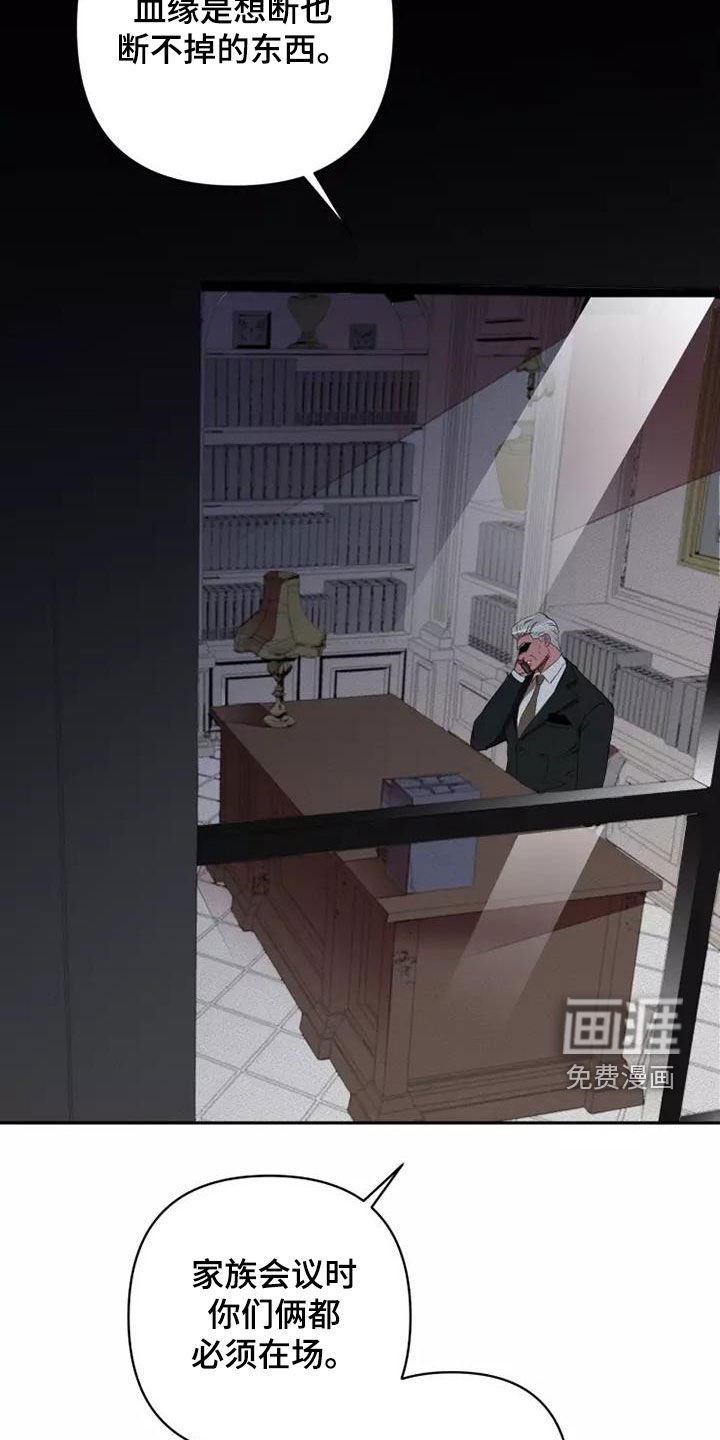 第37章：分成两份