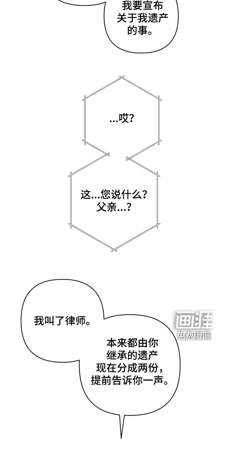 第37章：分成两份