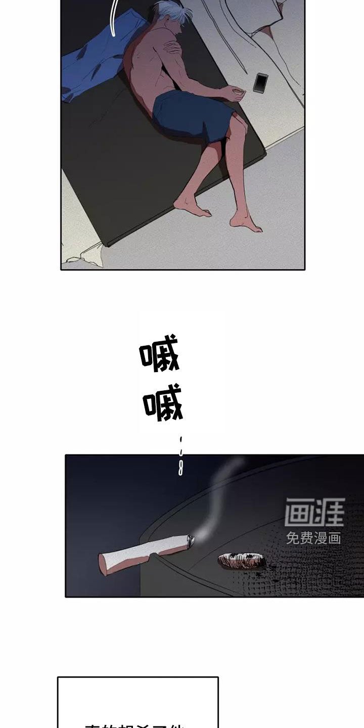 第37章：分成两份