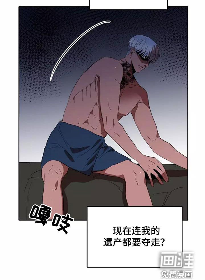 第37章：分成两份