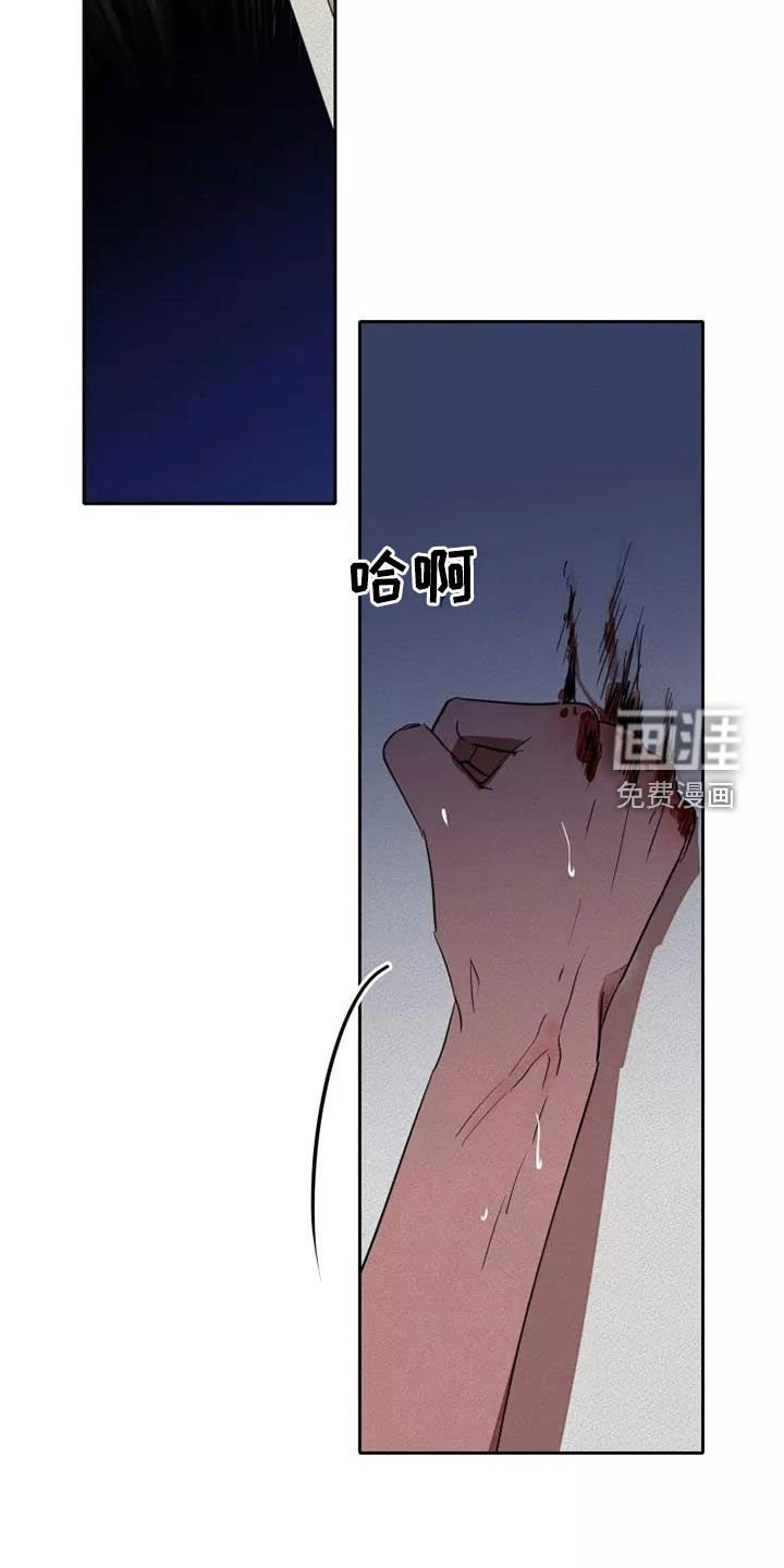 第38章：狂怒