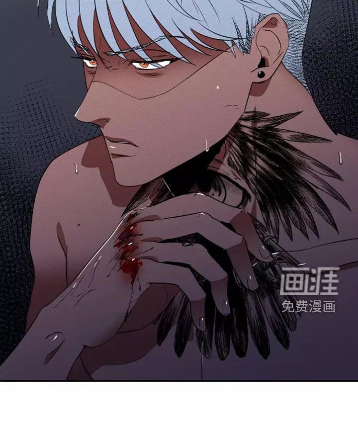 第38章：狂怒