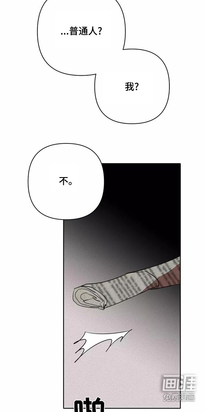 第46章：求求你