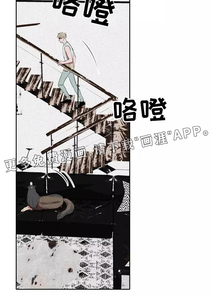 第47章：事情
