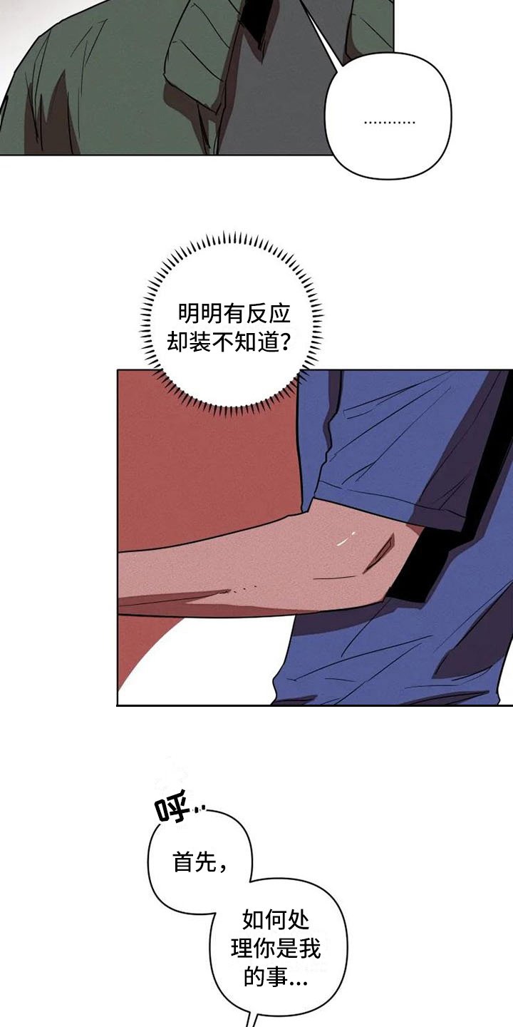 第5章：提议