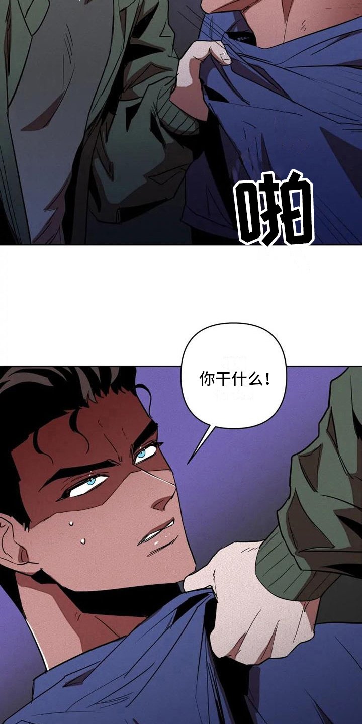 第5章：提议