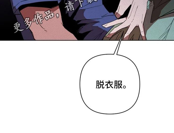 第5章：提议
