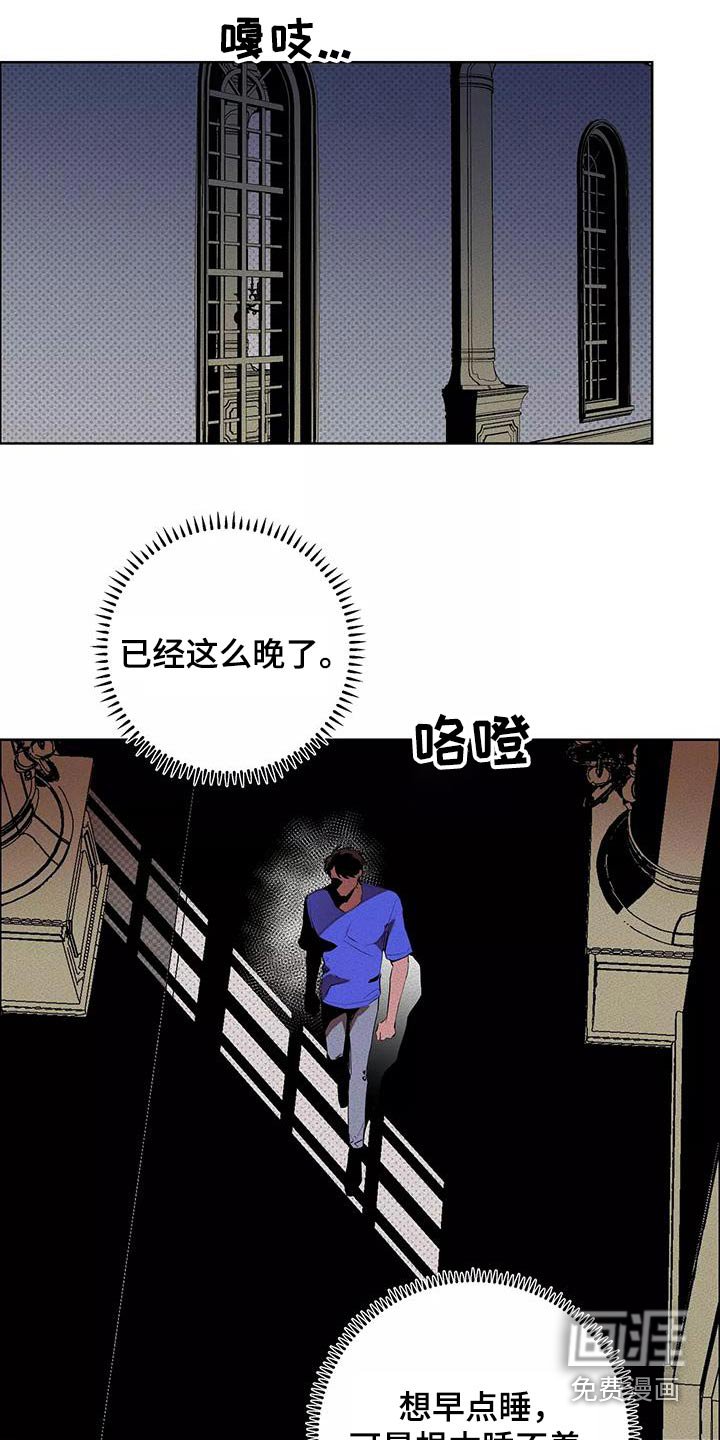 第52章：出手