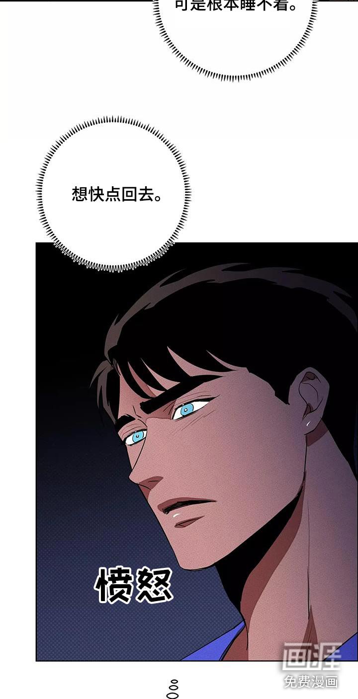 第52章：出手