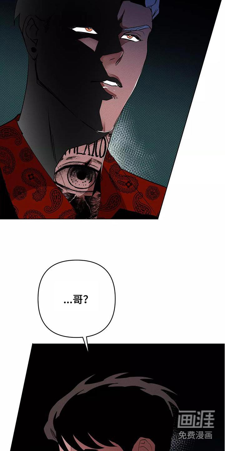 第52章：出手
