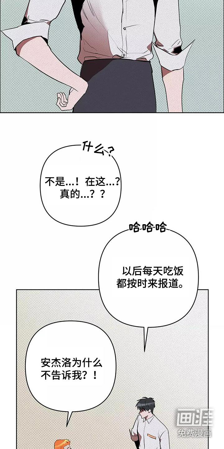 第56章：什么工作
