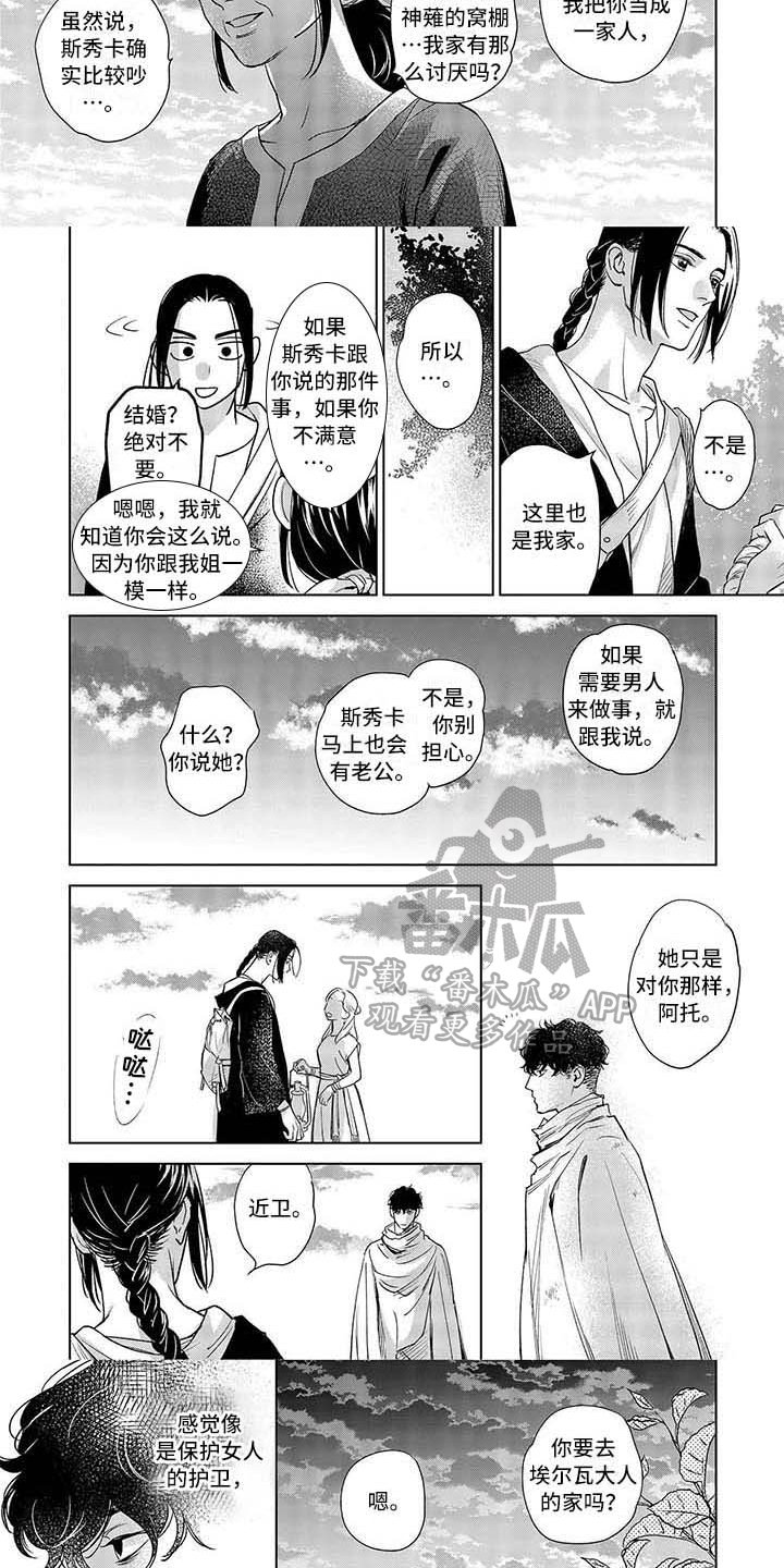 第11章：检查