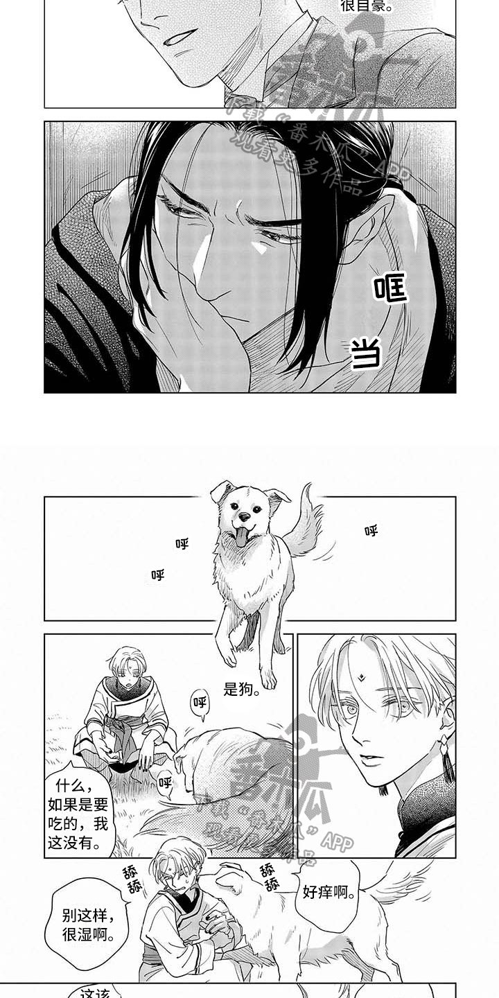 第18章：自豪