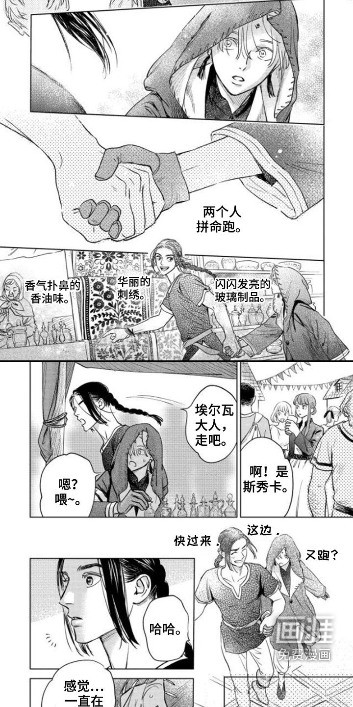 第42章：不老神话