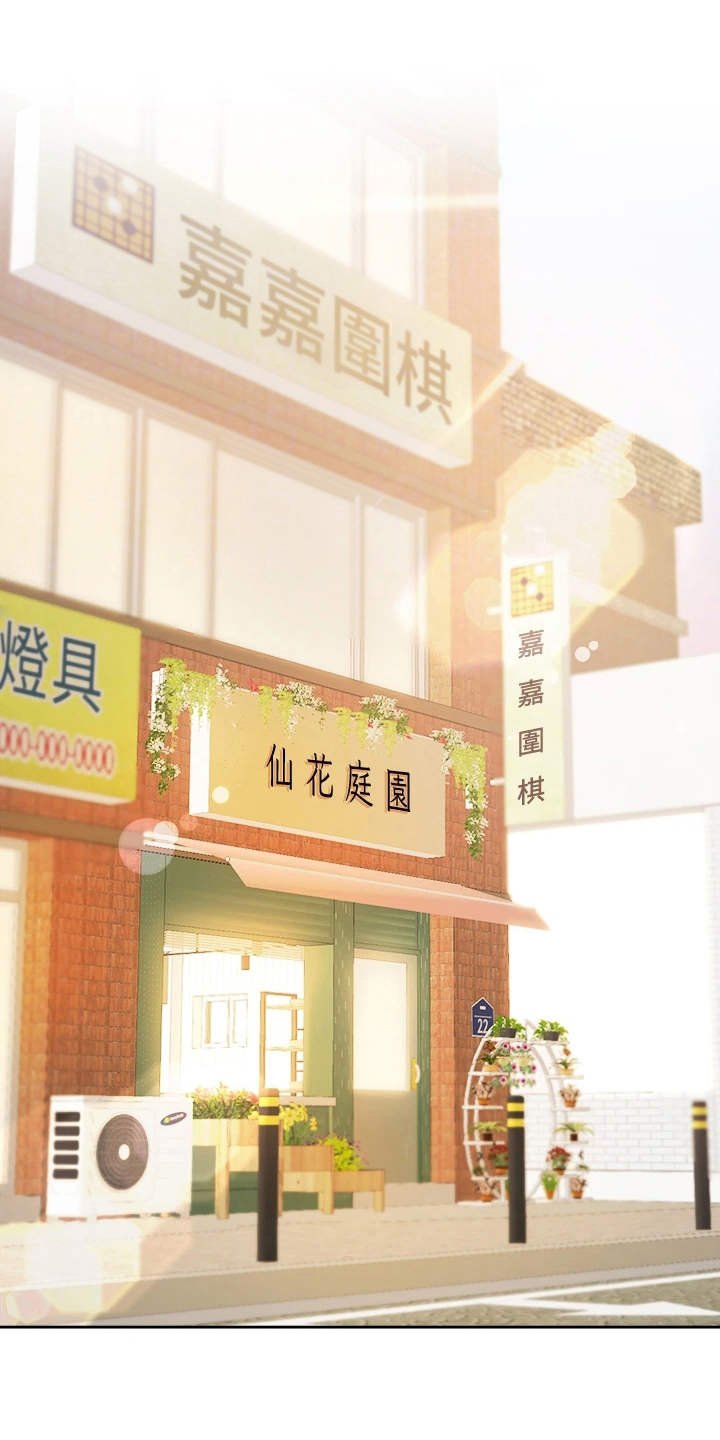 第6章：出主意
