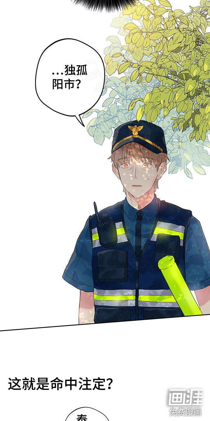 第12章：意外的重逢