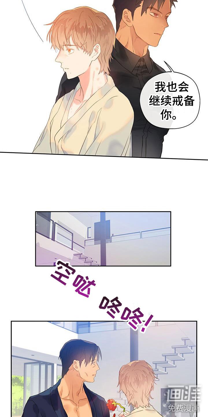 第13章：戒备