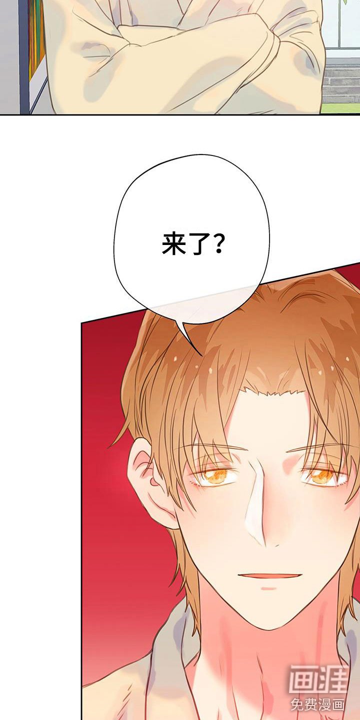 第14章： 不该看的