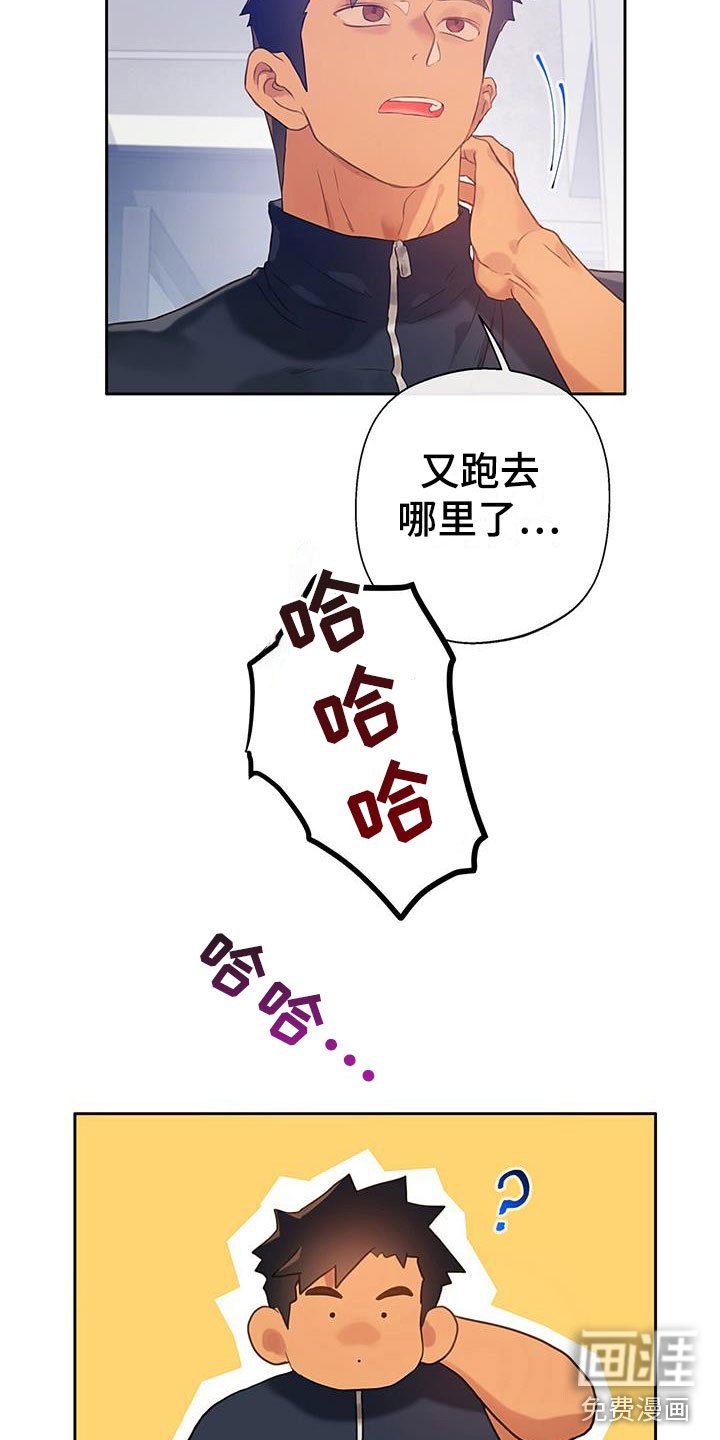 第14章： 不该看的