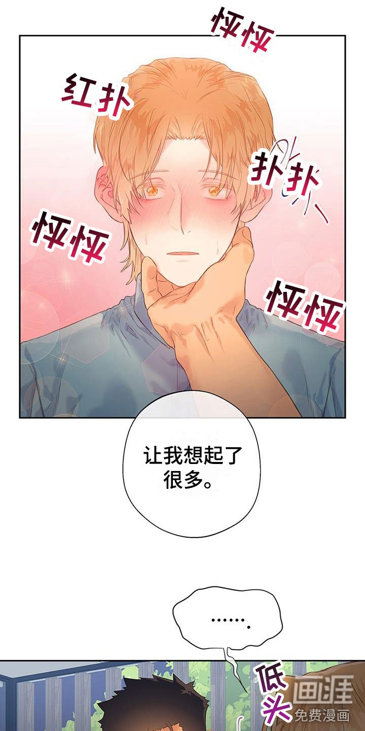 第17章：家庭聚餐
