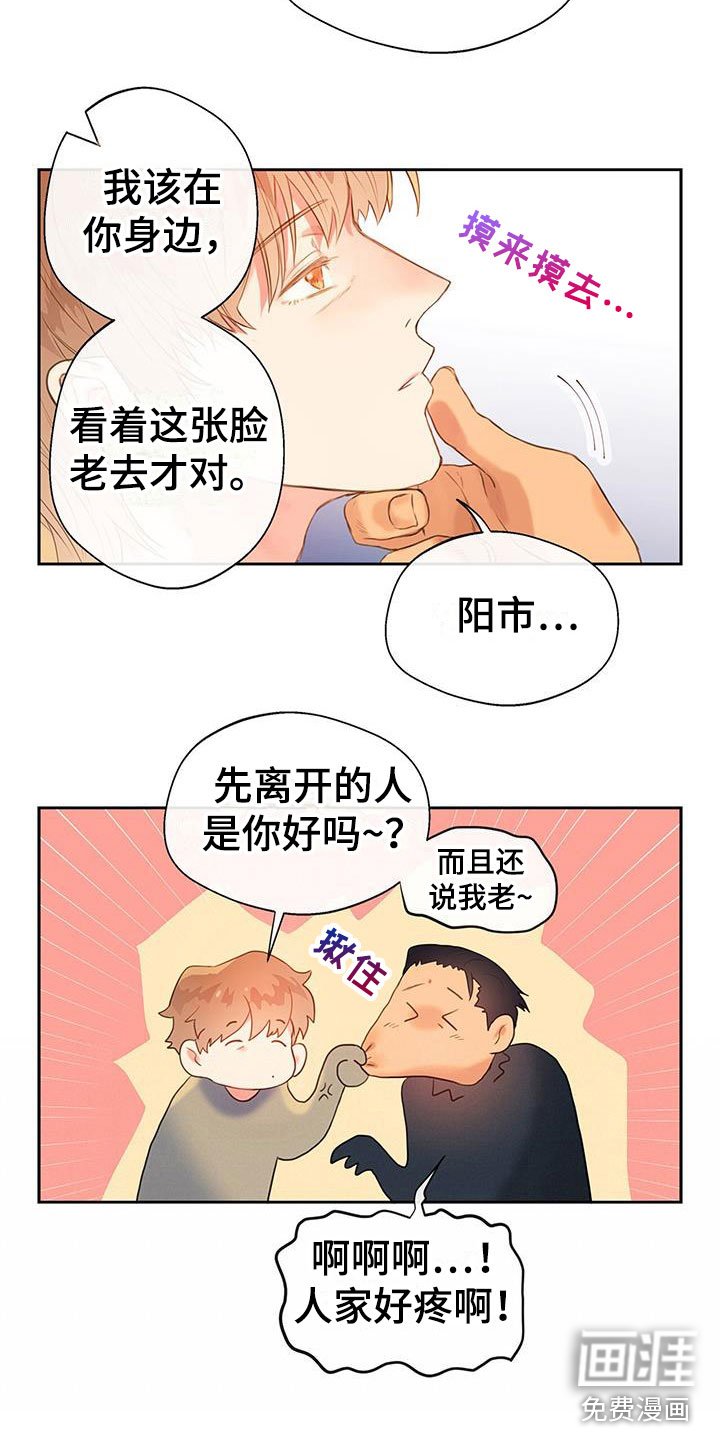 第19章：替身