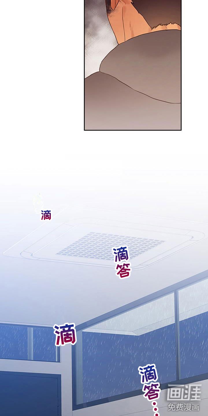 第19章：替身