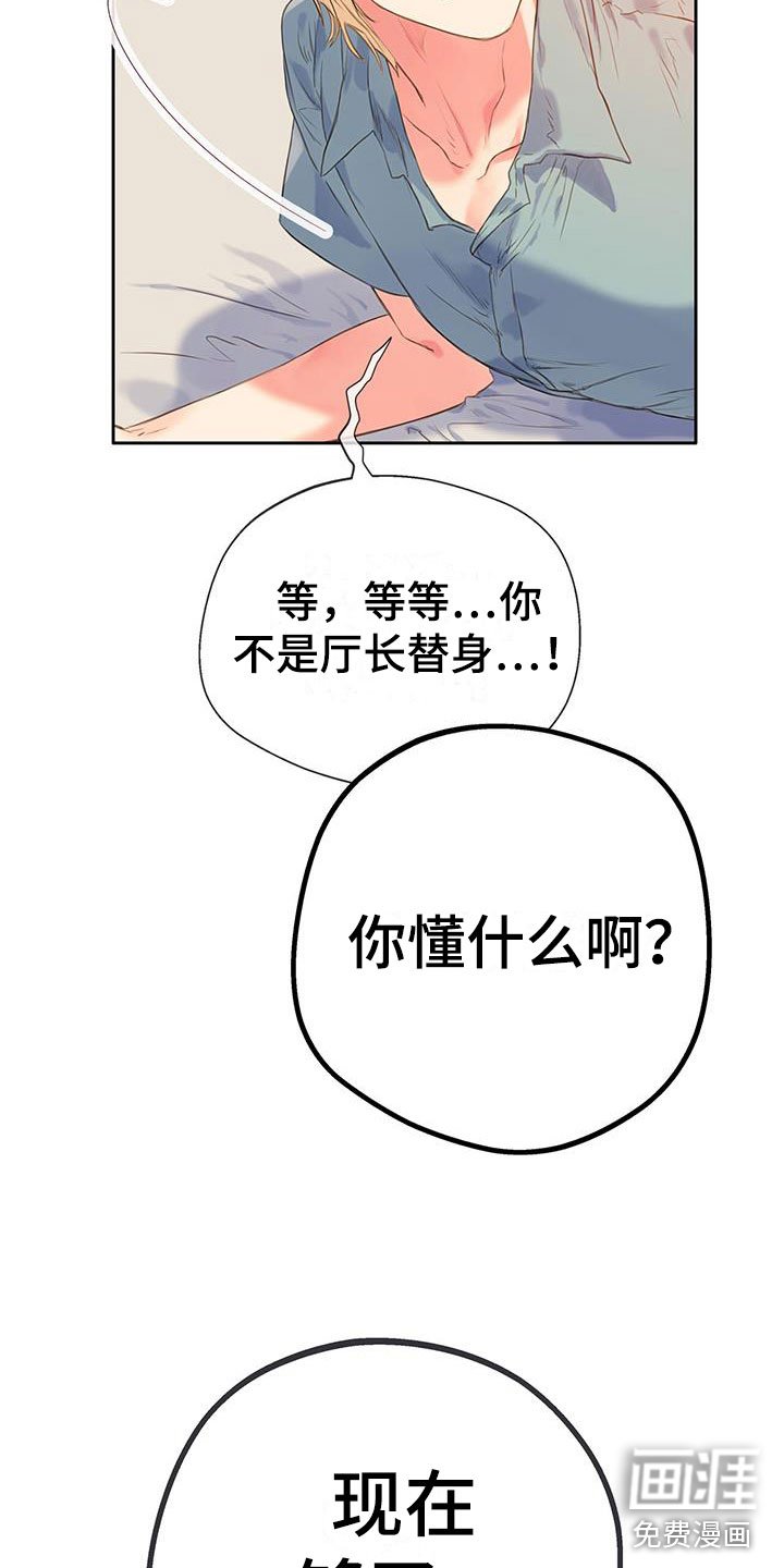 第19章：替身