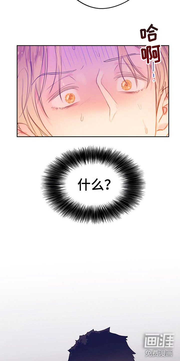第19章：替身