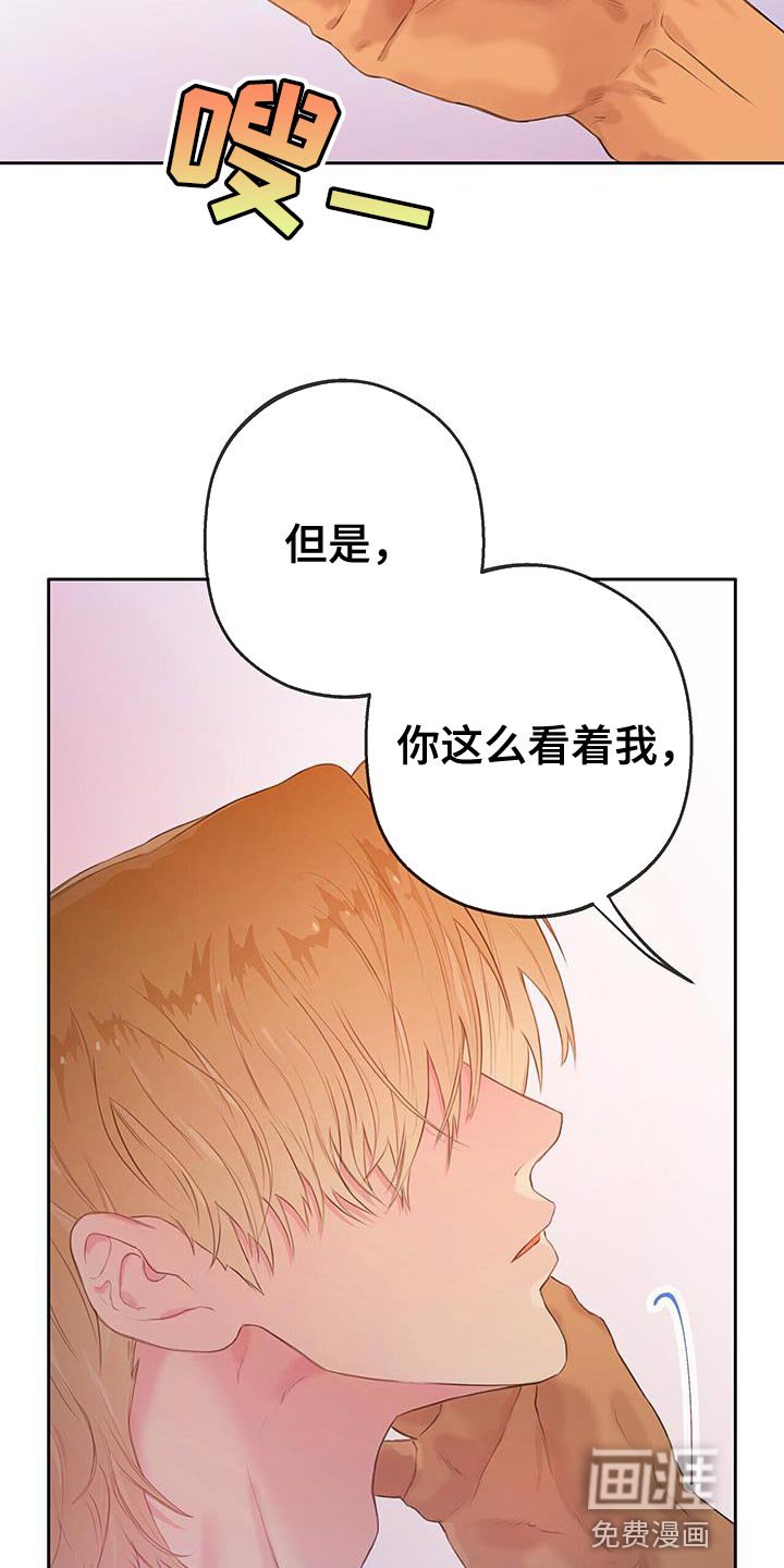 第32章：探索爱情【完结】
