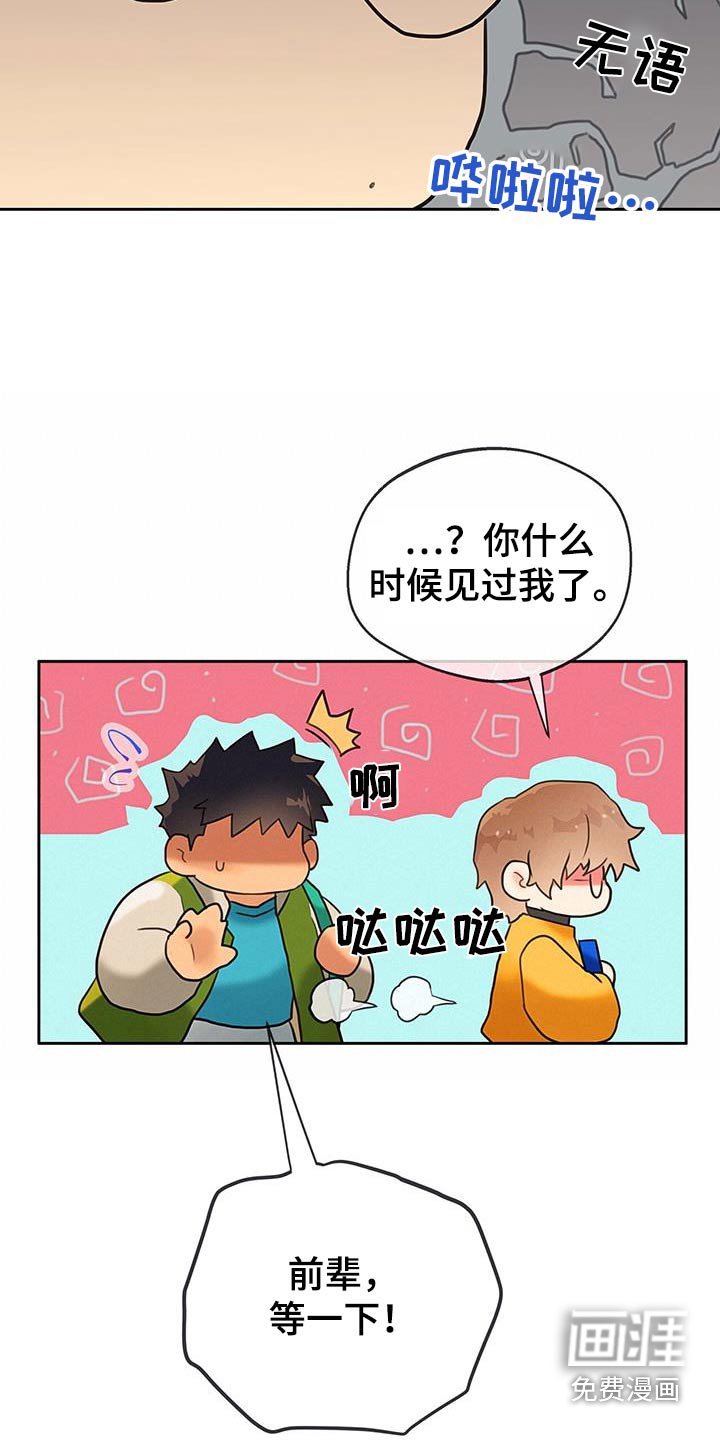 第35章：【番外】说错话