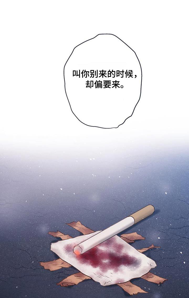 第47章：【番外】重逢