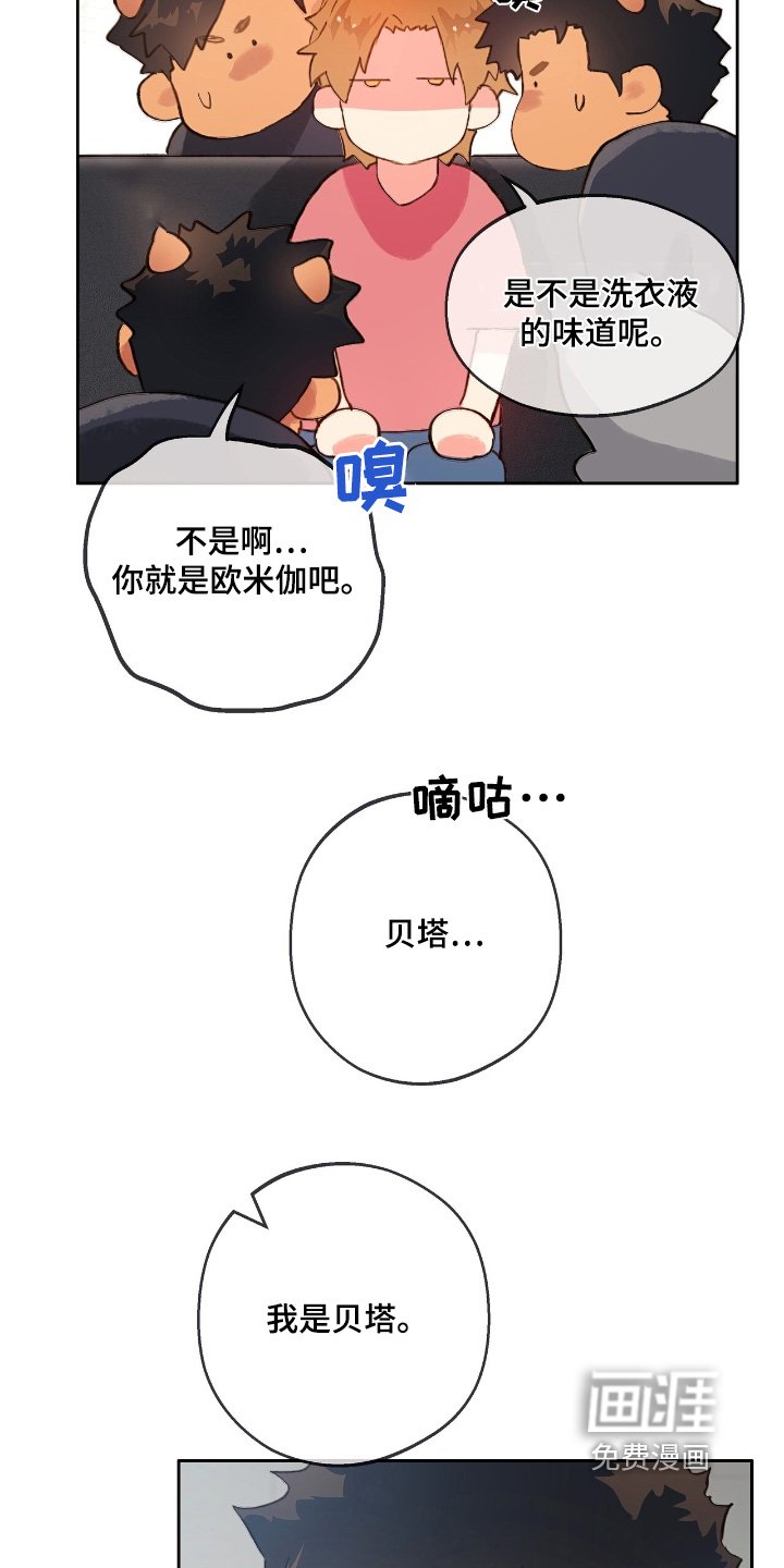 第48章：【番外】你说什么