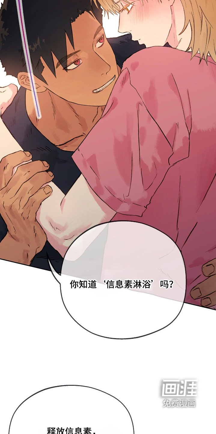 第49章：【番外】我是优质的