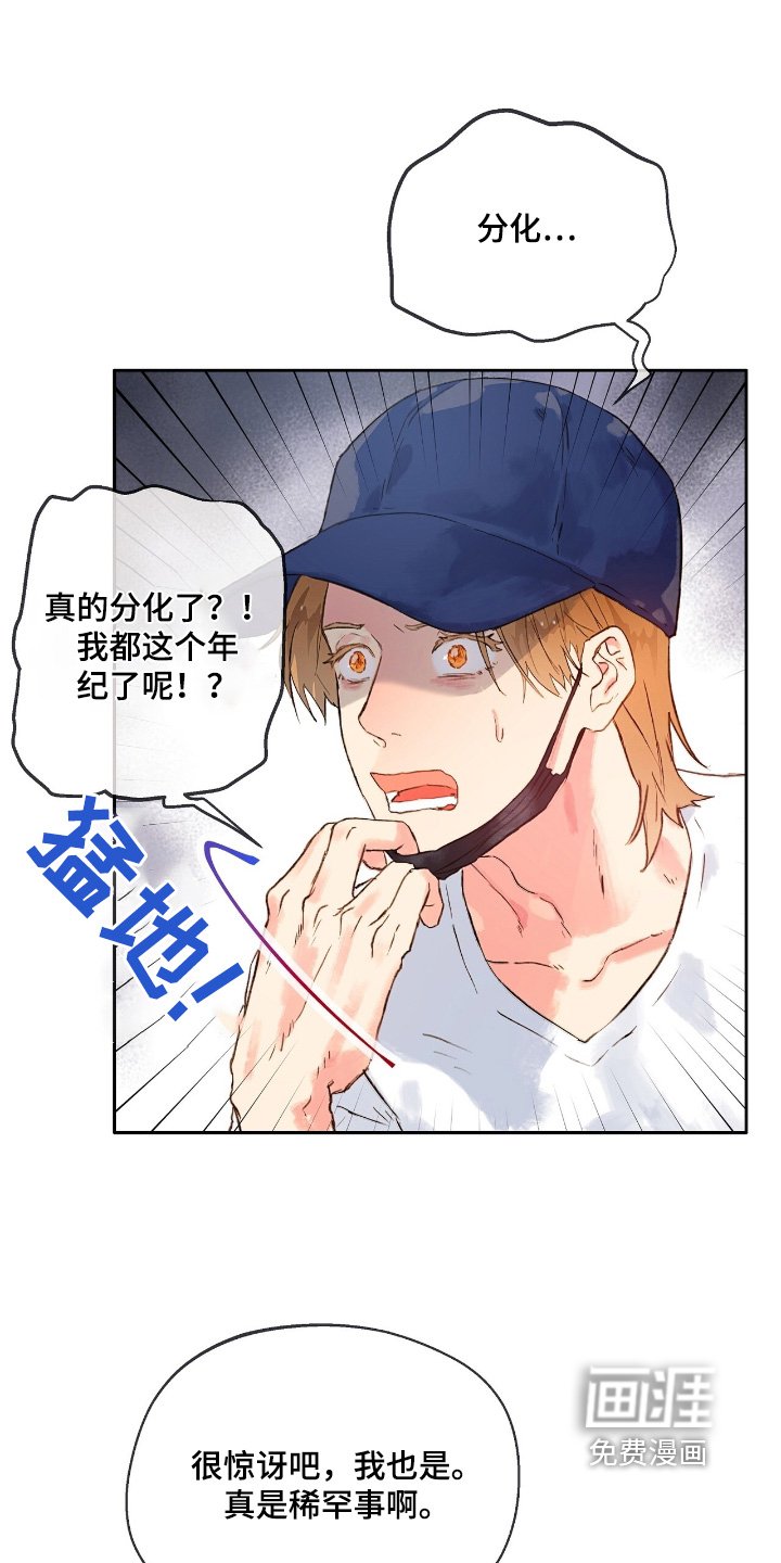 第50章：【番外】隐瞒到底