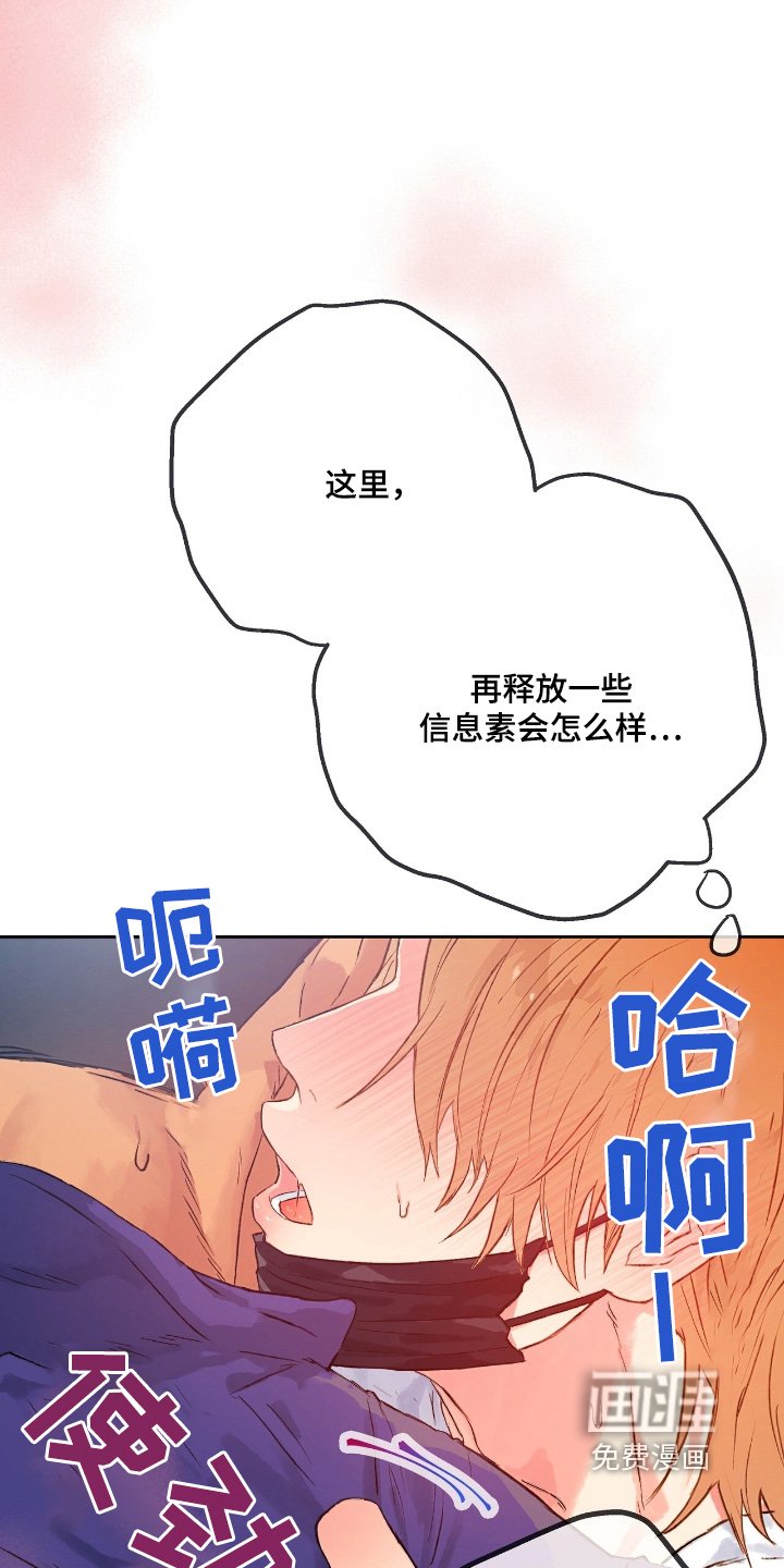 第51章：【番外】是不是太累了