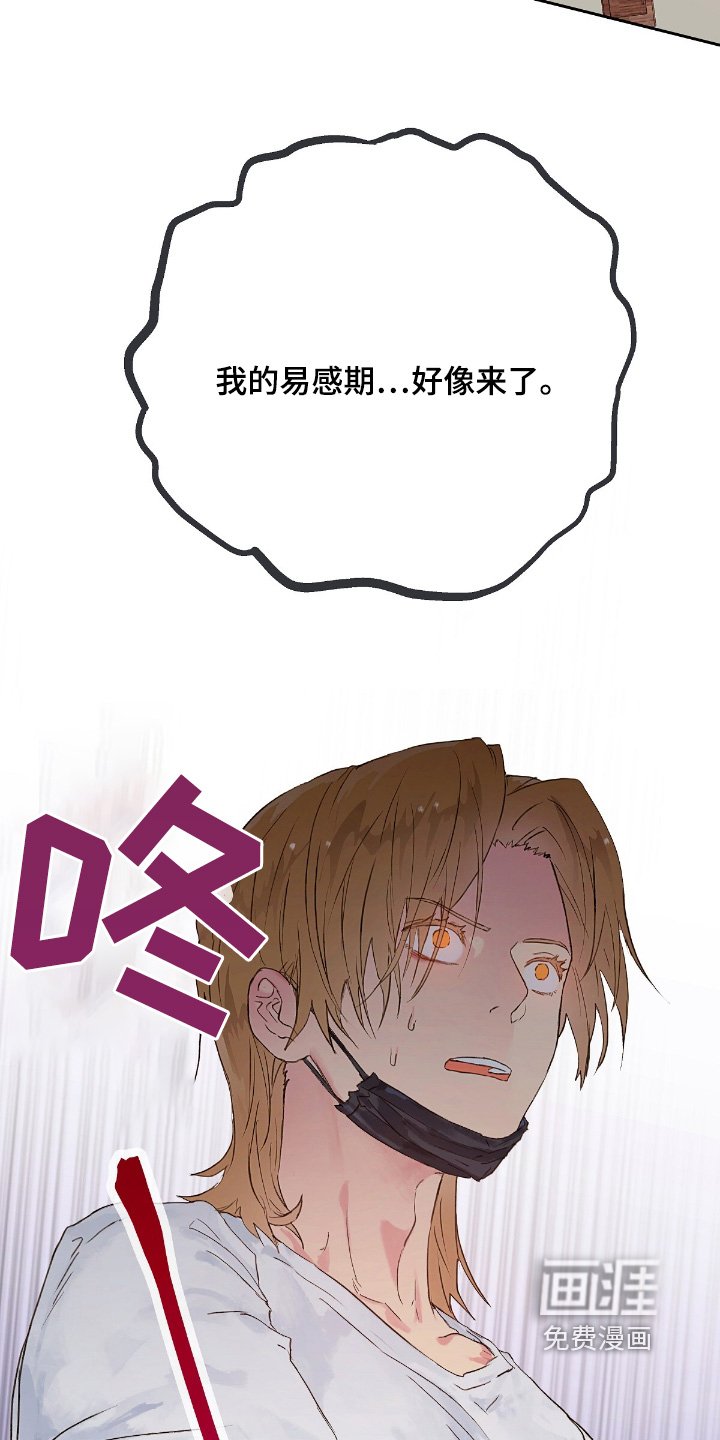 第53章：【番外】撑住