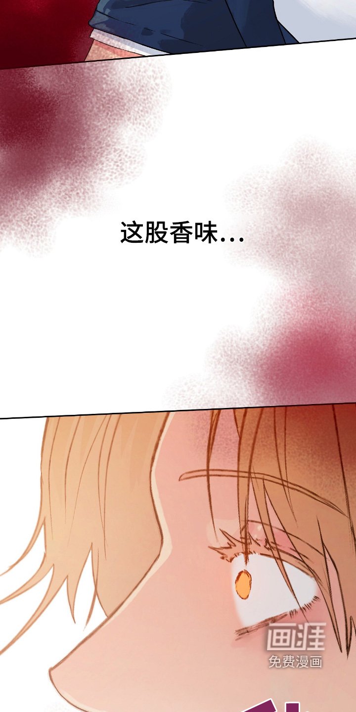 第54章：【番外】这个味道
