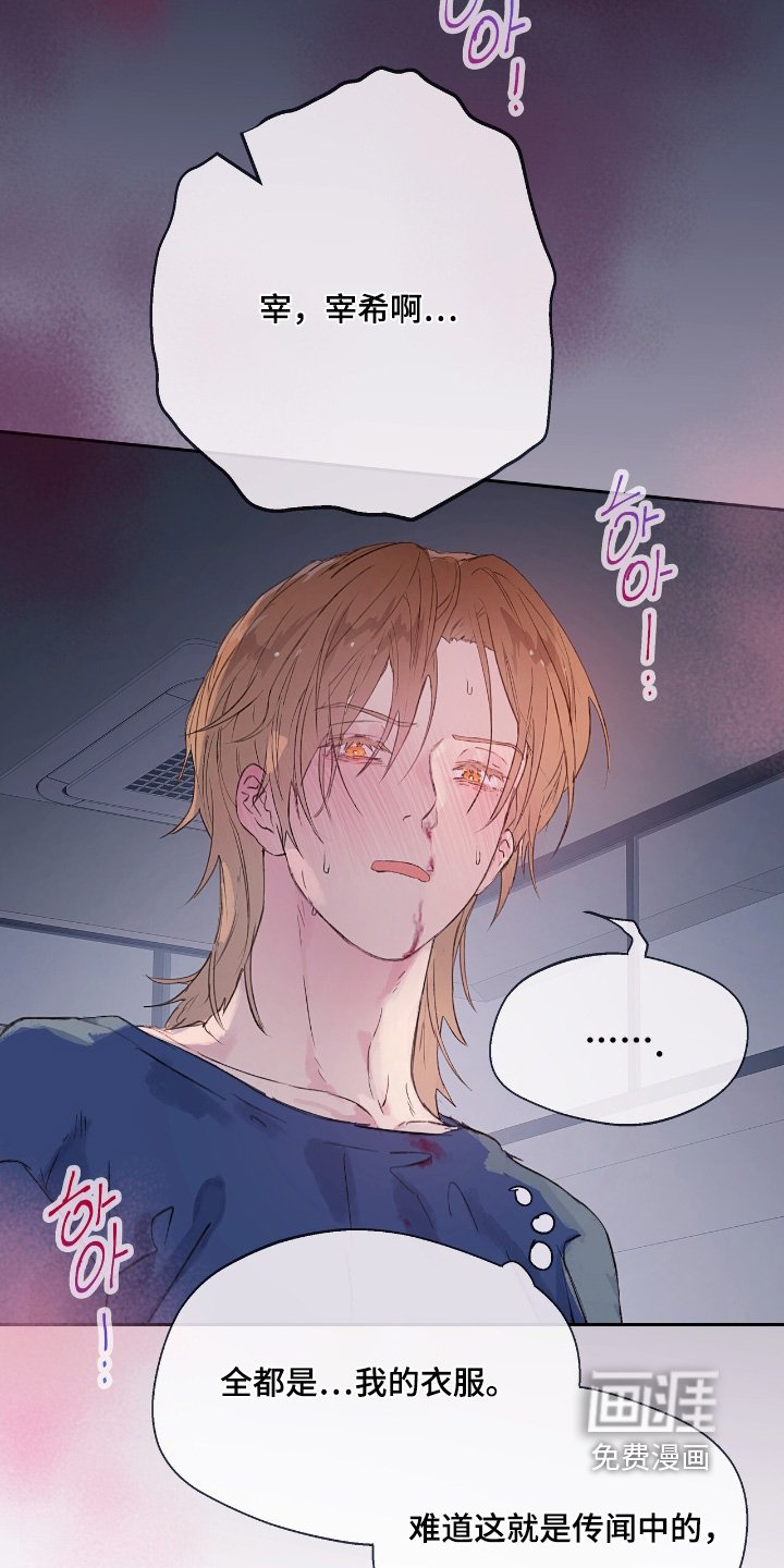 第56章：【番外】一定是幻觉