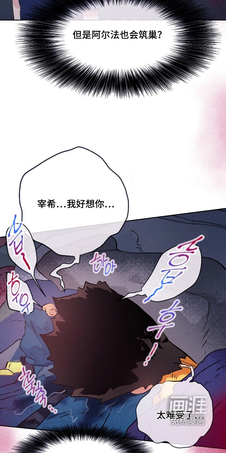 第56章：【番外】一定是幻觉