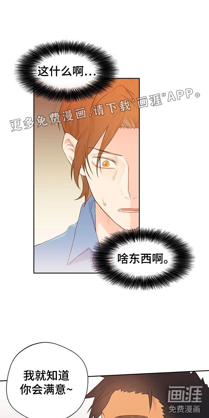 第6章：软件寻友
