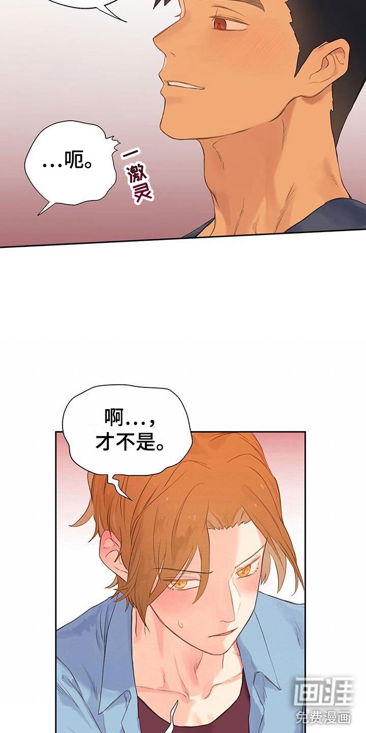 第6章：软件寻友