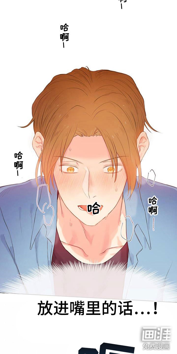 第6章：软件寻友